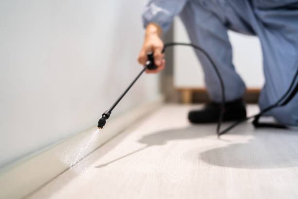 Licensed Pest Control service in New Middletown, OH - Show Me Pest Control