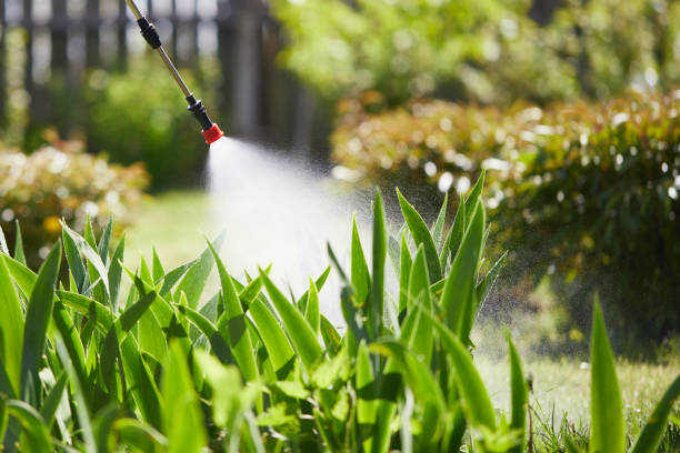 24/7 Emergency Wasp Removal experts in New Middletown, OH