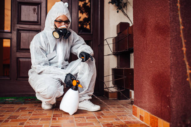 Reliable Wasp Removal contractor in New Middletown, OH by Show Me Pest Control